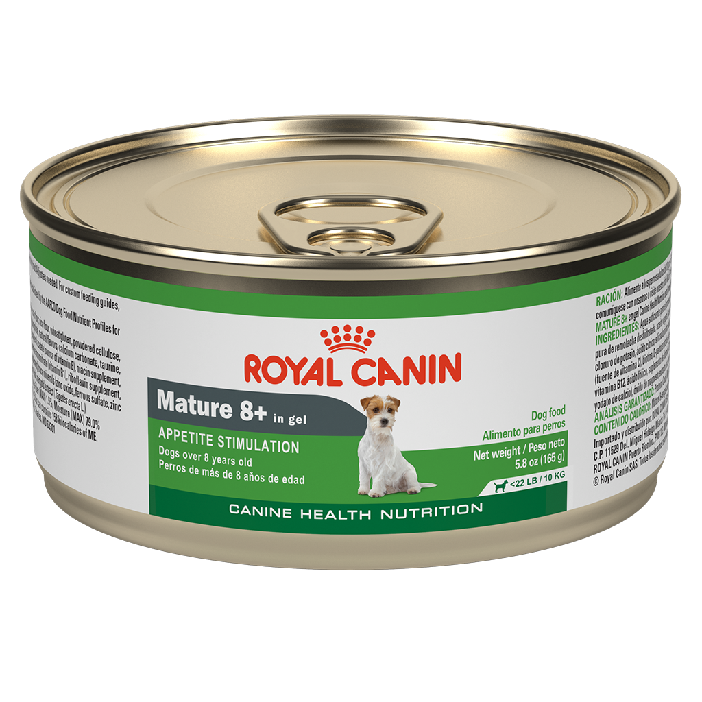 Alimento Para Perro Lata Royal Canin POS Wet Mature para Perro Razas Pequeñas 165 g, perro, Royal Canin, Mister Mascotas Alimento Para Perro Lata Royal Canin POS Wet Mature para Perro Razas Pequeñas 165 g, perro, Royal Canin, Mister Mascotas